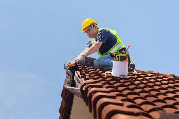 Best Steel Roofing  in Neuse Forest, NC